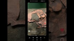 Пазырыкские курганы. Рассказывает Мария Киселёва. Прямые эфиры Эрмитажа