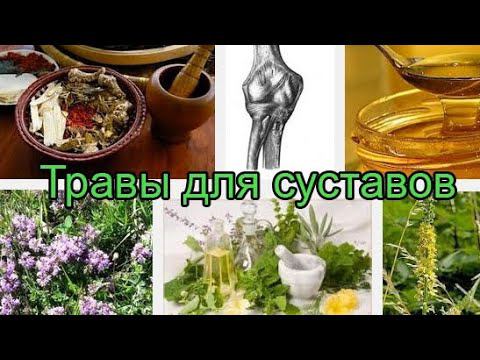Какие Травы Могут Улучшить Качество Жизни при Ревматоидном Артрите?