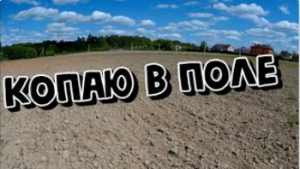 Поиск монет с металлоискателем XP на вспаханных полях.КОП 2021