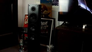 POLK t50