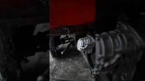 Муравей самосвал. как все устроено