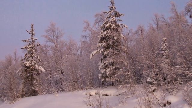 Мурманск.  Полярная ночь