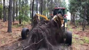 Скоростная корчевка пней // Pulling stumps