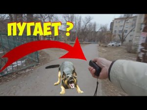 ОТПУГИВАТЕЛЬ СОБАК С АЛИЭКСПРЕСС ТЕСТ