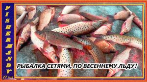 РЫБАЛКА СЕТЯМИ ПО ВЕСЕННЕМУ ЛЬДУ, рыбалка на реке Амур.
