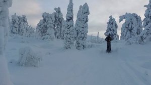 Мотосноуборд Sibmaster Pro "Мотя" в Кандалакшских тундрах (сопка Волосяная)