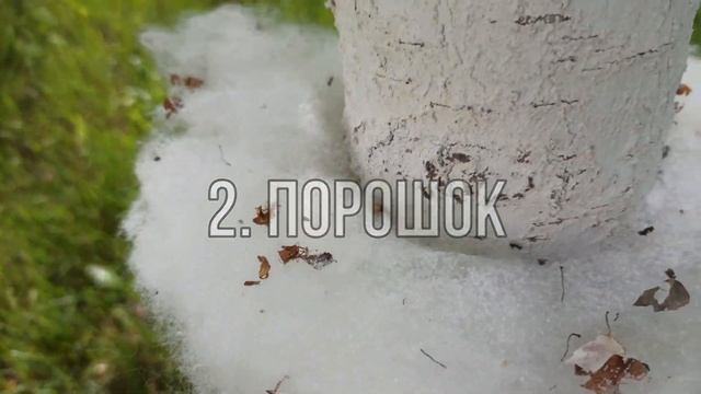 Тля НЕ ПРОЙДЕТ!!! смотреть онлайн