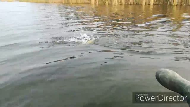 Большая Куберле смотреть онлайн