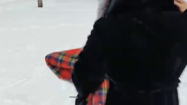 выпускник питомника чихуахуа Кастропуло Крым на прогулке со своей семьёй в Екатеринбурге смотреть онлайн