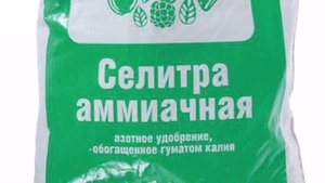 Великолепная астильба. Кратко о посадке и уходе. Простые советы.