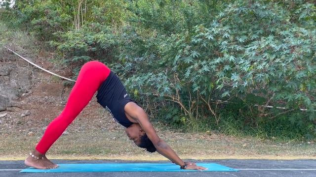 30 Minute Morning Vinyasa Yoga Flow | Surya Namaskar | Sun Salutations Yoga