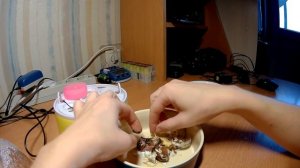 Магазинные перепелиные яйца. Гибель в яйце. Часть 6