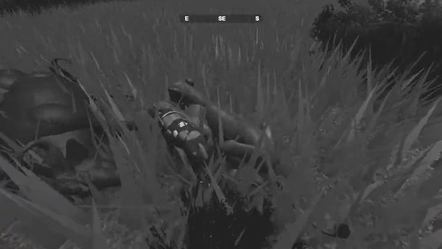 Roblox: Wild Savannah смотреть онлайн