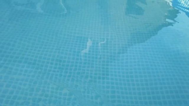 Сачок для бассейна своими руками из...??? смотреть онлайн