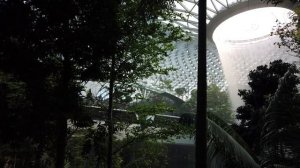 О, мой Бог! Да, это лучший аэропорт в мире! Чанги, Сингапур