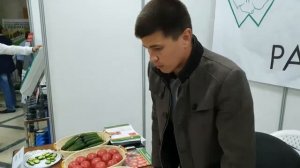 Пинк Парадайз F1, Пинк Дрим F1, Пинк Калибр F1, Пинк Профит F1, Розалин F1 и огурец МУССОН F1