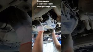 Замена масла в ДВС, АКПП, раздатка и мост Lexus LX 570 #toyota #lx570 #oil #youtube #car #lexus