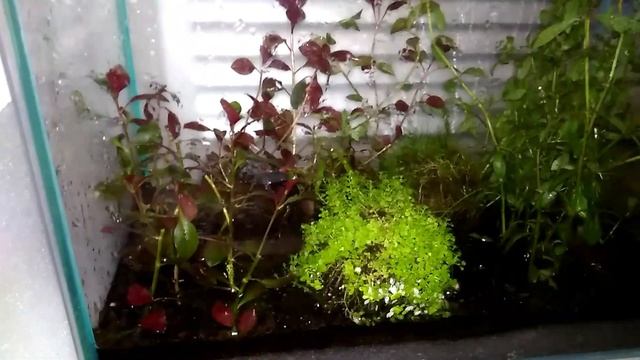 Аква теплички под солнцем смотреть онлайн