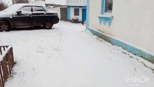 поеду В Лес собирать дрова