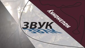 11 Психоакустика I "Звук наизнанку", подготовил Александр Райхельсон.