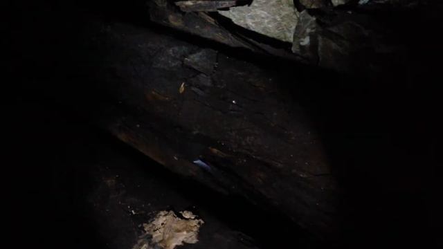 Сокские штольни (Самарская область)