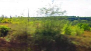 Вид из окна поезда - с. Лиски (Воронежская область)