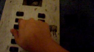 Приказник залипайка