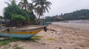 АРЕНДА АВТО НА ШРИ ЛАНКЕ / ВНИМАНИЕ! БЕСПРЕДЕЛ НА ДОРОГАХ ?