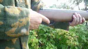 Пневматическая винтовка с газовой пружиной Crosman Vantage NP