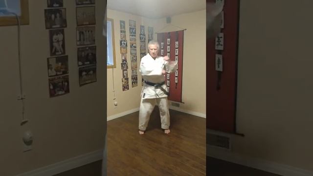 Tekki Shodan both feet fixed