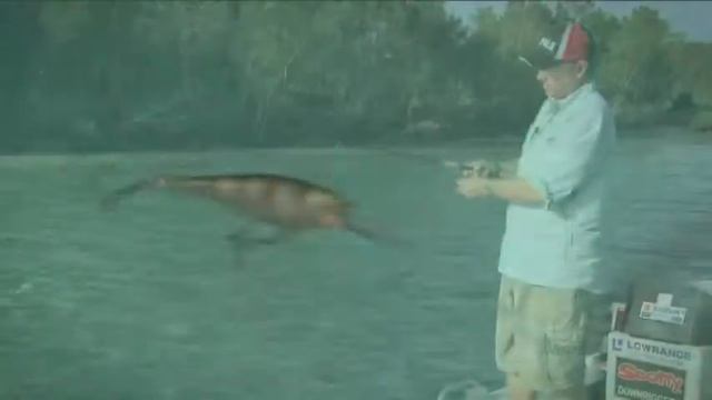 Shad Rap смотреть онлайн