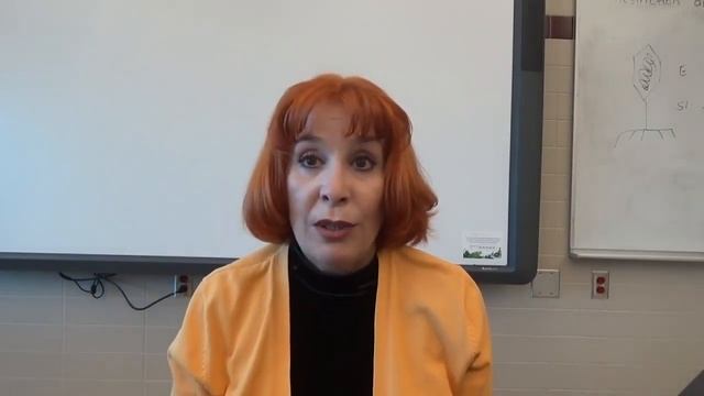 GS1657 Урок № 24 Как отвечать на вопросы почему не была замужем, почему ищу иностранца. смотреть онлайн