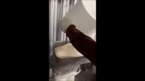 Получение сахарной пудры на мельницах TITAN (ТИТАН)