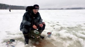 Ловля уклейки со льда весной