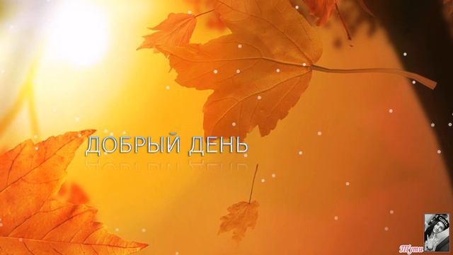 Добрый день . ТУТИ смотреть онлайн