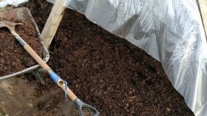 #КонскаяПодстилка #УдобрениеДляРоз  Розам  купили конскую подстилку!