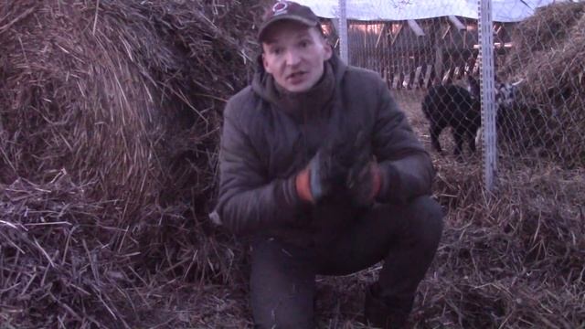 Про корма и выживание без сена смотреть онлайн