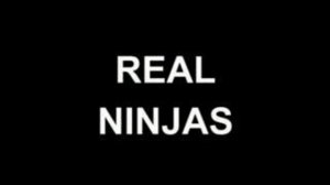 Naruto - real ninjas
