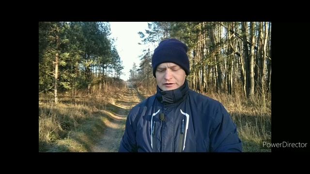 23 ноября 2021 г. смотреть онлайн