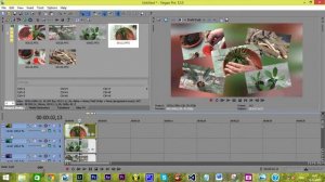 Sony Vegas - Группировка видеодорожек