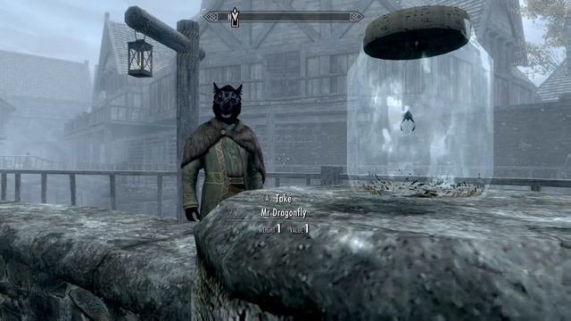 Inigo. Mister Dragonfly in Riften market. Elder Scrolls V: Skyrim