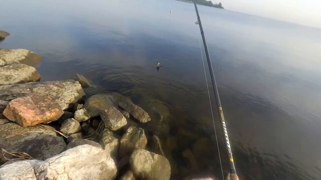 РЫбалка на фидер в сентябре на Финском заливе смотреть онлайн