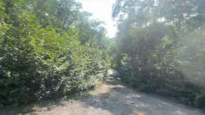 Начики | Рубрика «Моя Земля — Камчатка»