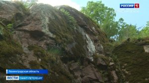 В Парке Монрепо впервые начали всерьез изучать таинственное наследие острова Людвигштайн