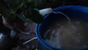 Скважина на острове без электричества. Анализ воды.