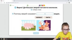 Кто такие звери и чем они питаются. Окружающий мир 1 класс на учи ру