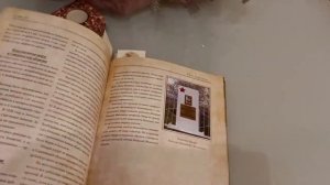 Моя первая родословная книга