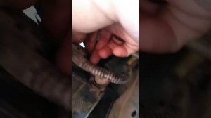 Замена лампы-противотуманки на RAVON NEXIA R3