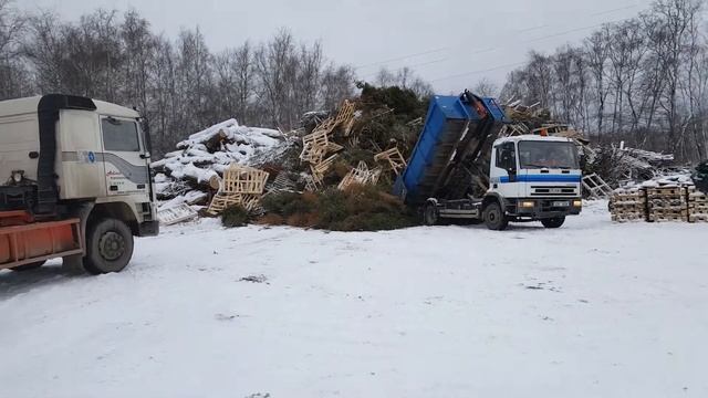 Сколько стоит европоддон Эстония Таллинн. смотреть онлайн
