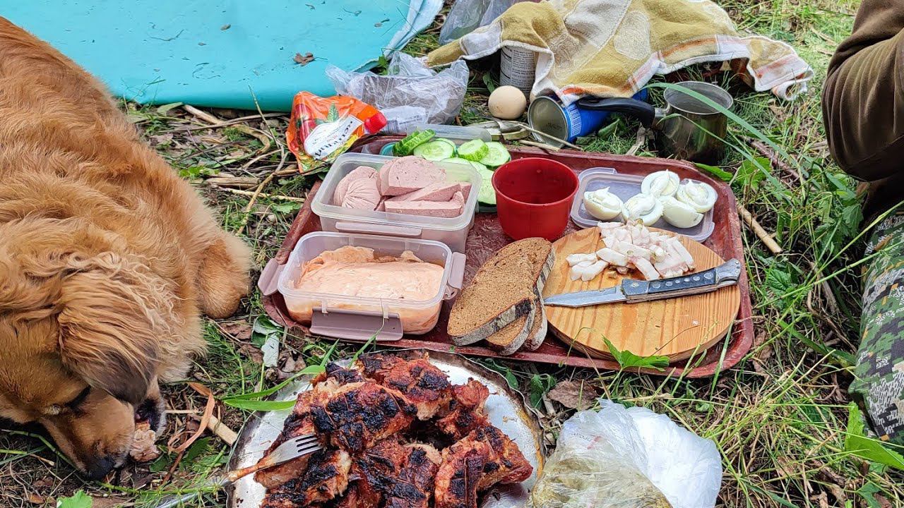 Что мы делаем ночью 2 часть смотреть онлайн